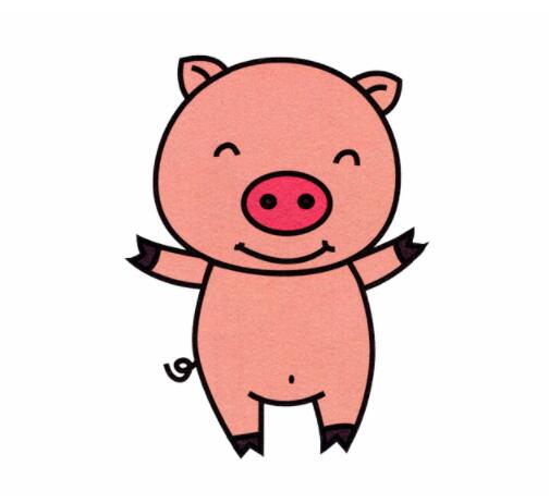 可爱的小猪简笔画怎么画小猪图片