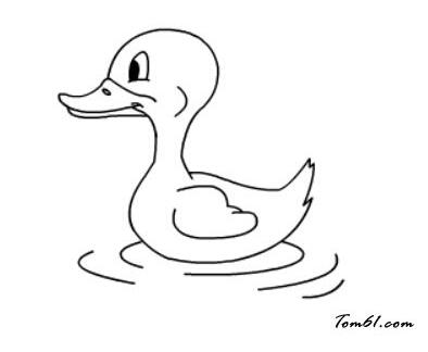 游泳的鸭子怎么画小鸭简笔画的画法图片教程
