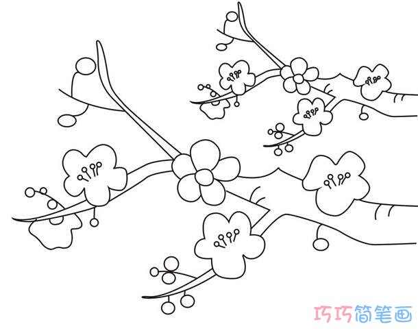 简笔画图片我们可以看到本期的简笔画有画树枝,因为梅花是开在树上的