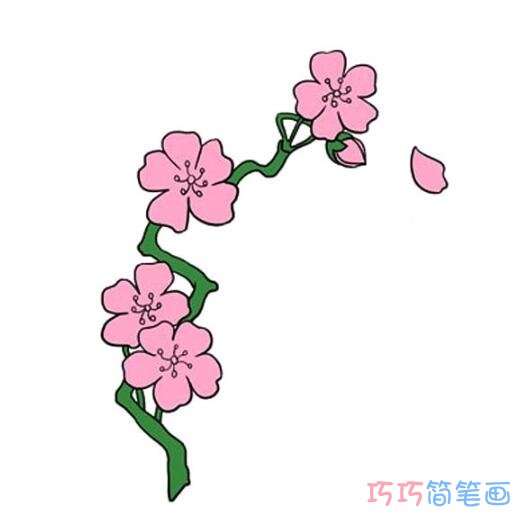 如何画樱花简单又漂亮涂颜色_樱花简笔画图片