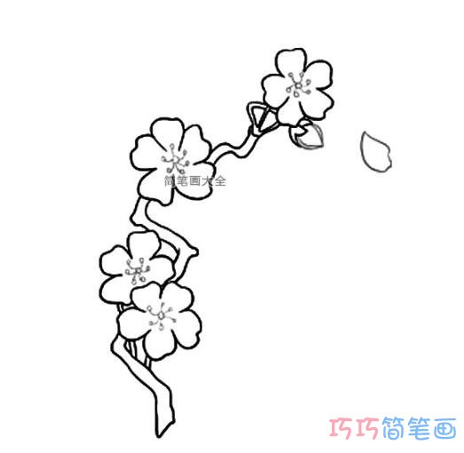 如何画樱花简单又漂亮涂颜色_樱花简笔画图片