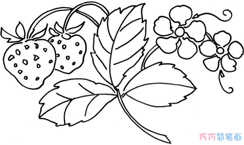 手绘草莓树怎么画简单好看_草莓简笔画图片