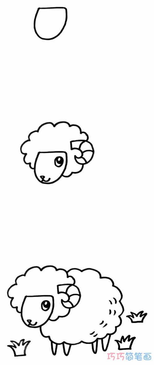怎么画绵羊涂颜色简单漂亮 绵羊的画法步骤简笔画图片