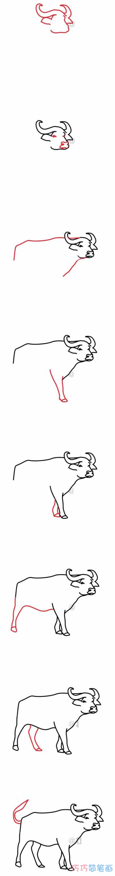 怎么画水牛手绘带步骤图 水牛简笔画图片