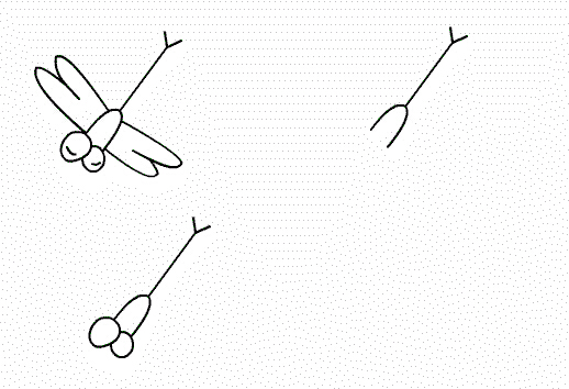 小蜻蜓简笔画图片大全分享