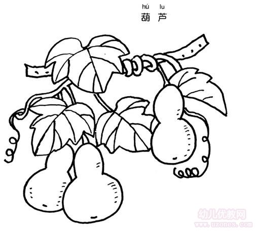 宝葫芦怎么画 简笔画图片