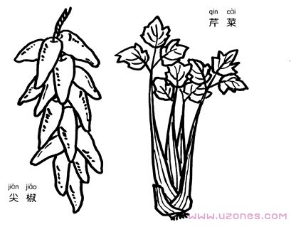 卡通芹菜简笔画图片大全