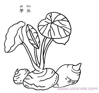 卡通芋头简笔画图片