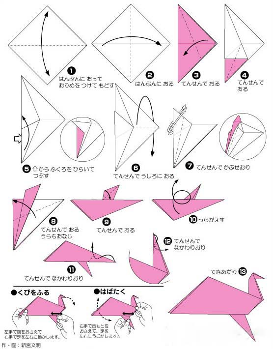 孔雀的折法 折纸 儿童图片