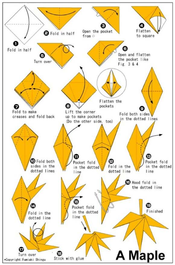 简单折纸落叶枫叶的折纸方法图解步骤-www.qqscb.com