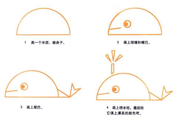 可爱小鲸鱼的画法 卡通鲸鱼简笔画图片教程步骤-www.qqscb.com