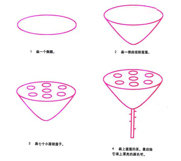 卡通莲蓬的画法 儿童莲蓬简笔画步骤彩图素描-www.qqscb.com