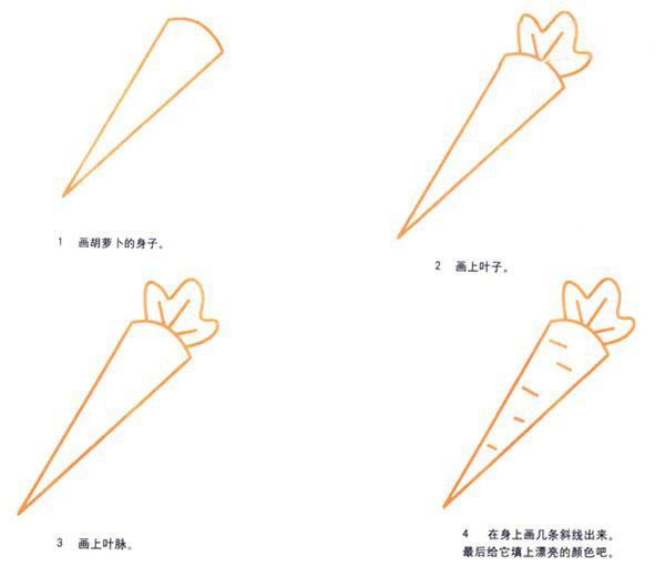 简单胡萝卜的画法 卡通胡萝卜简笔画步骤教程彩图-www.qqscb.com