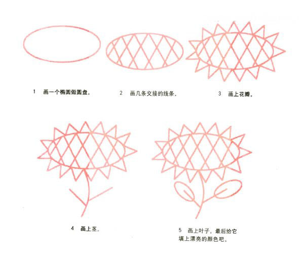 简单太阳花简笔画的画法步骤教程素描彩图-www.qqscb.com