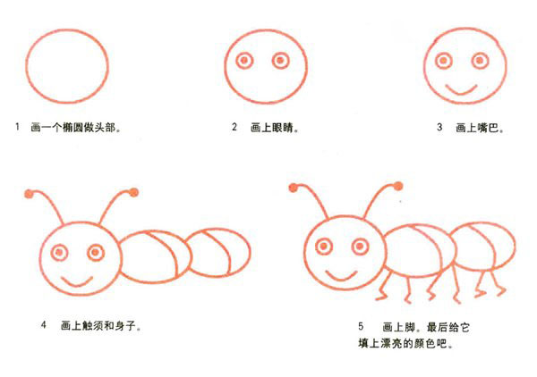 卡通可爱蚂蚁简笔画的画法彩图素描-www.qqscb.com