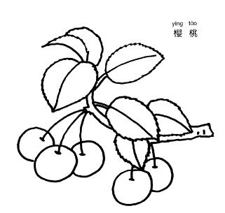 幼儿简笔画樱桃的画法 樱桃简笔画图片大全-www.qqscb.com