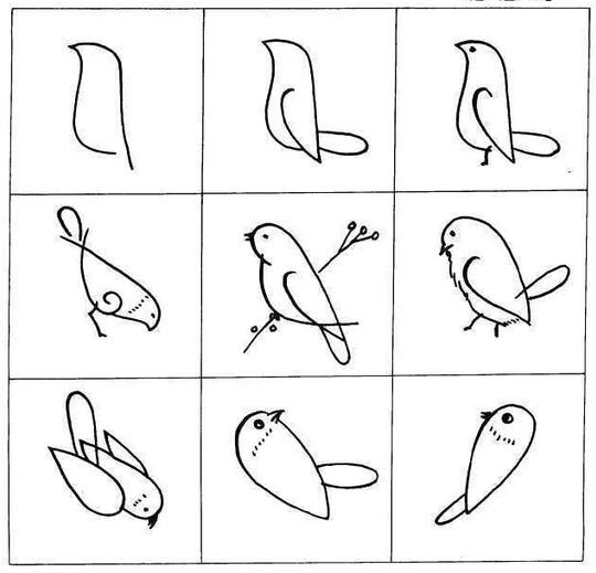 鸟简笔画顺序简单图片