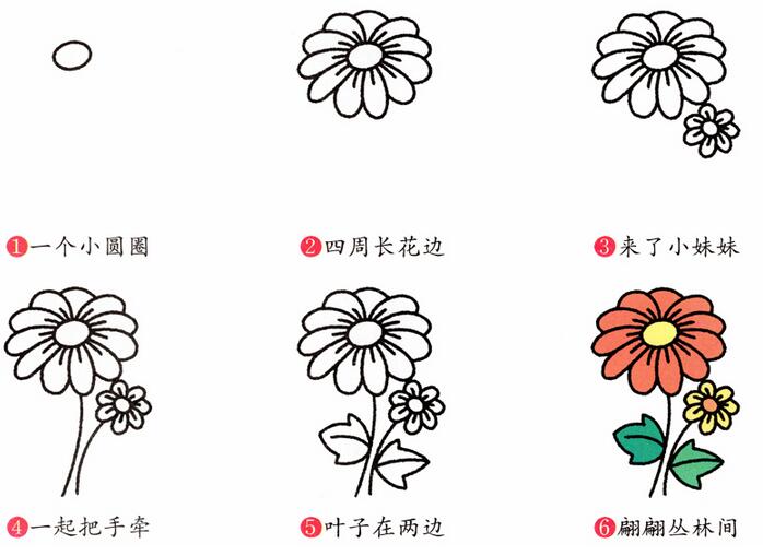 菊花的画法 简笔画菊花图片大全素描彩色-www.qqscb.com