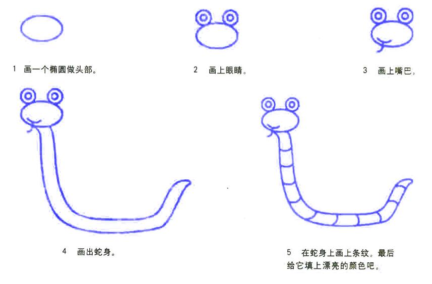 卡通眼镜蛇的画法 眼镜蛇简笔画步骤图片-www.qqscb.com