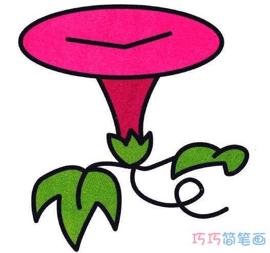 牵牛花怎么画步骤 喇叭花的画法简笔画图片