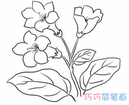 漂亮杜鹃花怎么画 杜鹃花的画法简笔画图片