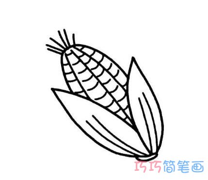 玉米棒怎么画 简单玉米的画法简笔画图片