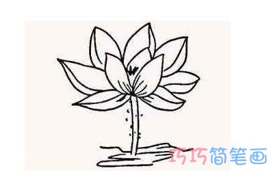 怎么画荷花 莲花简笔画