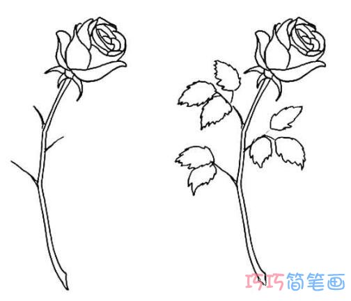 漂亮玫瑰花怎么画 简单玫瑰花的画法图片