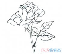 简单又漂亮的玫瑰花简笔画 玫瑰花的画法图片