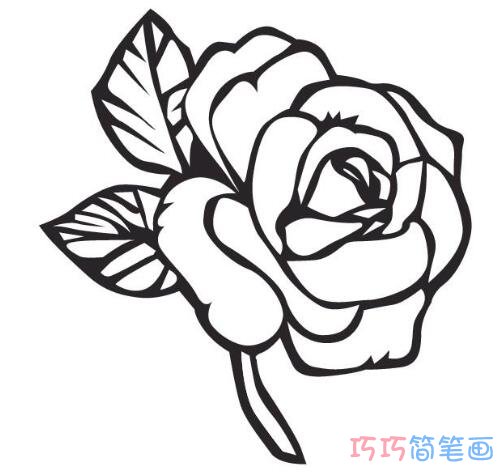 简单又漂亮的玫瑰花简笔画 玫瑰花的画法图片