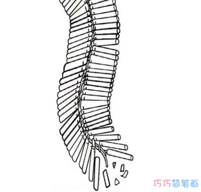 一串鞭炮的画法图片_卡通鞭炮的简笔画图片