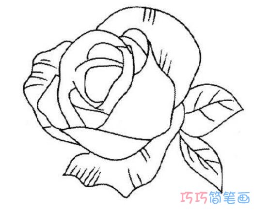 漂亮的川崎玫瑰怎么画_玫瑰花简笔画图片