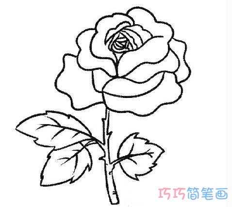 玫瑰花简笔画图片_简单玫瑰花的画法图片