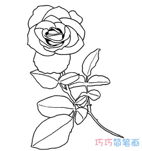 玫瑰花简笔画图片_简单玫瑰花的画法图片03