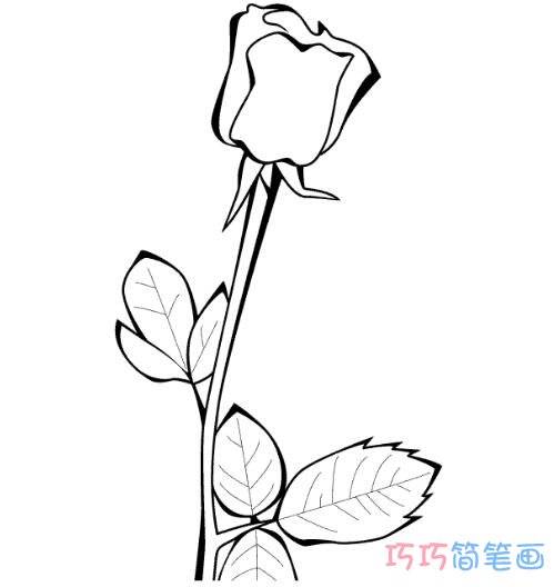 最简单玫瑰花的画法步骤_玫瑰花简笔画图片