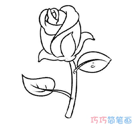 2018七夕情人节玫瑰花的画法简笔画图片