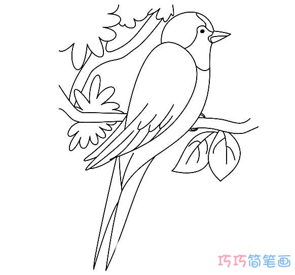 小鸟在树枝上有叶子怎么画_小鸟简笔画图片