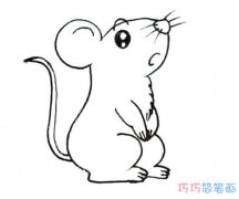 长尾巴可爱小老鼠怎么画_老鼠简笔画图片