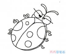 简单可爱的七星瓢虫怎么画_昆虫简笔画图片