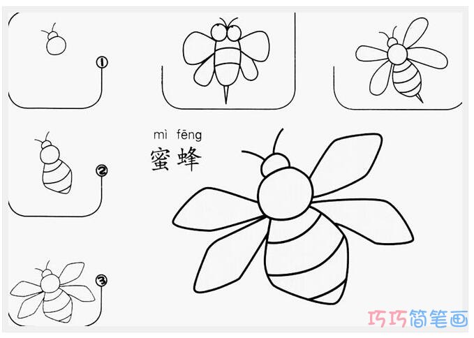 儿童小蜜蜂绘画步骤图_昆虫简笔画图片