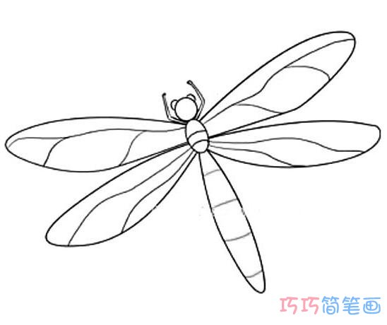 绿色蜻蜓简笔画_昆虫简笔画