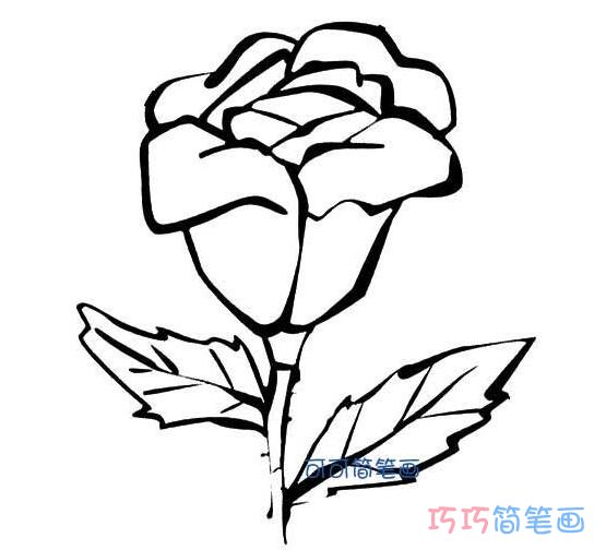 立体的玫瑰花怎么画好看_玫瑰花简笔画图片