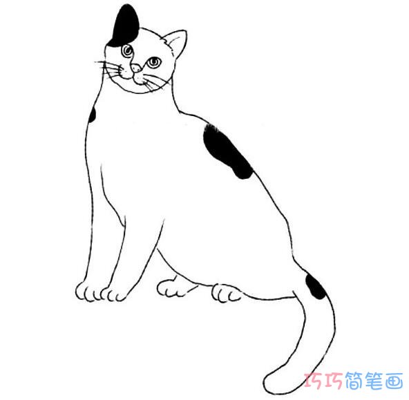 斑点小猫要怎么画可爱简单_小猫简笔画图片