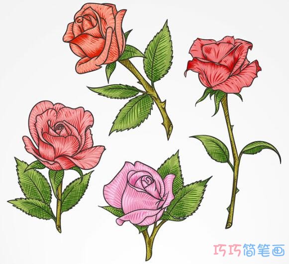 玫瑰花与各种花卉的彩色画法_玫瑰花简笔画图片