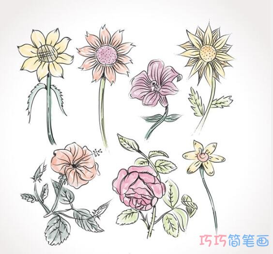 玫瑰花与各种花卉的彩色画法_玫瑰花简笔画图片