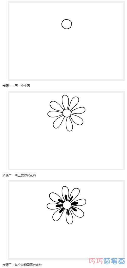 最简单的可爱雏菊步骤图_菊花简笔画图片