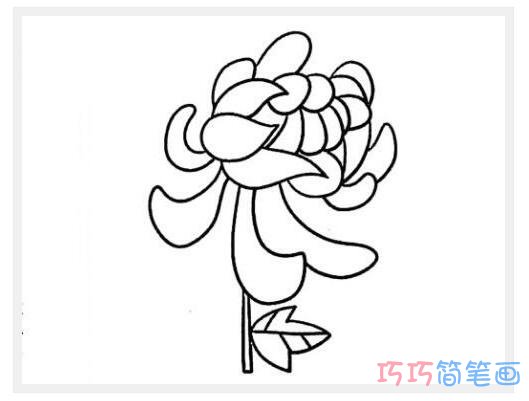 幼儿简单的菊花简笔画_菊花简笔画图片