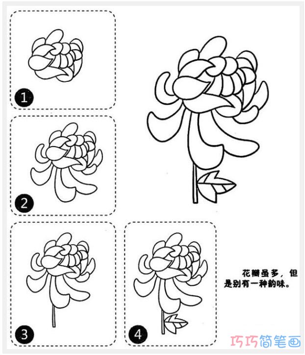 幼儿简单的菊花简笔画_菊花简笔画图片