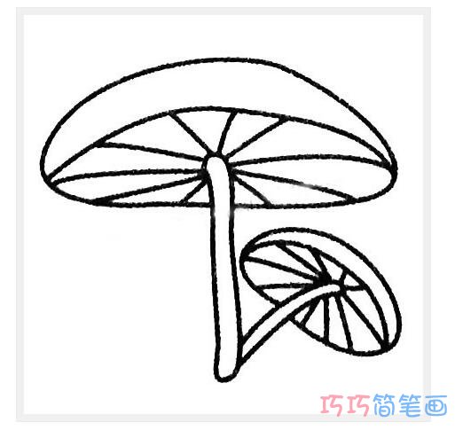 像雨伞的蘑菇怎么画漂亮_蘑菇简笔画图片