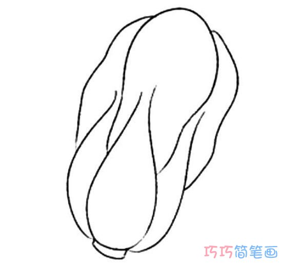 低年级卡通大白菜简笔画法_大白菜简笔画图片